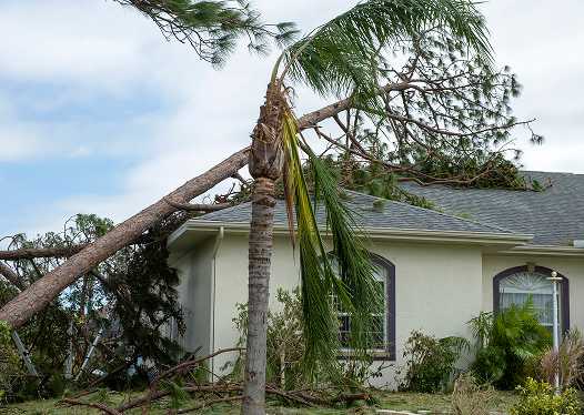Storm damage restoration