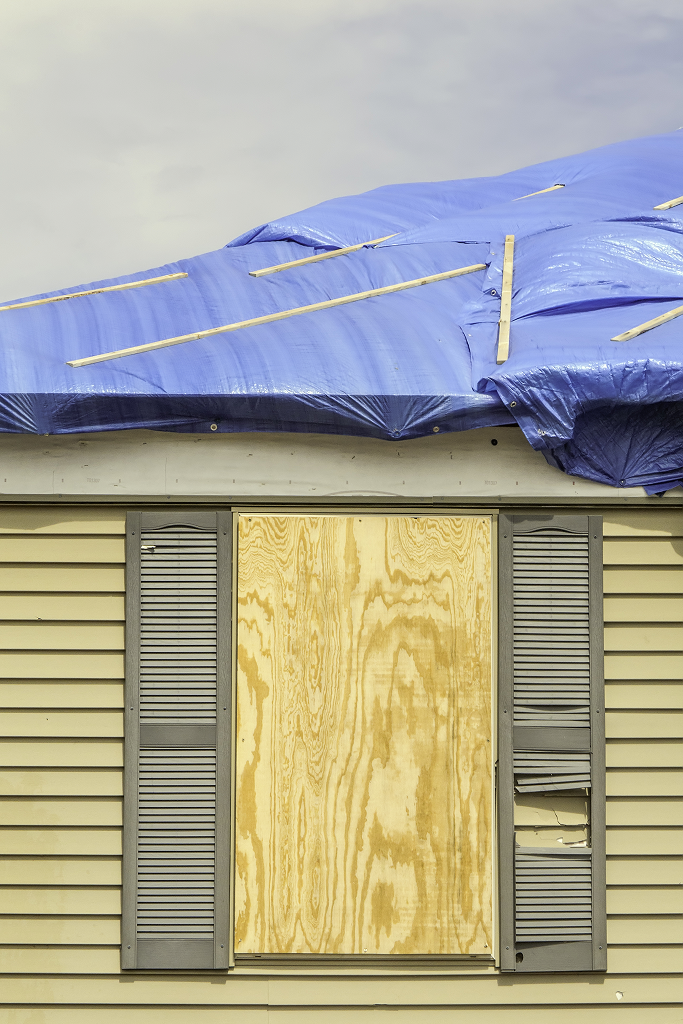 fallen tree roof damage emergency tarp