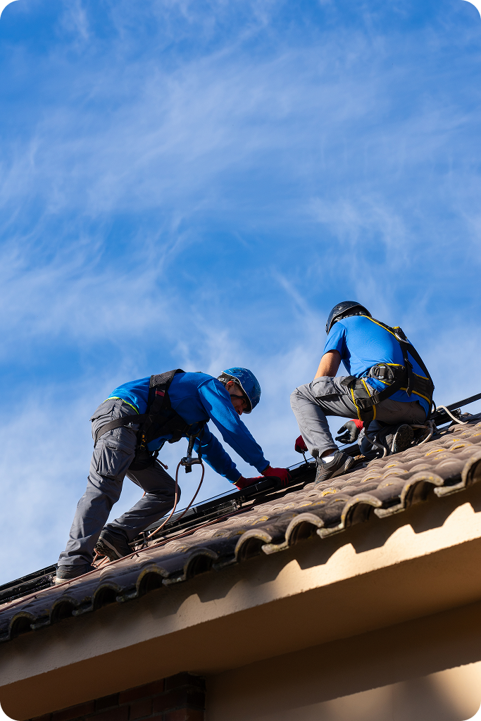 emergency roof tarping after tree damage